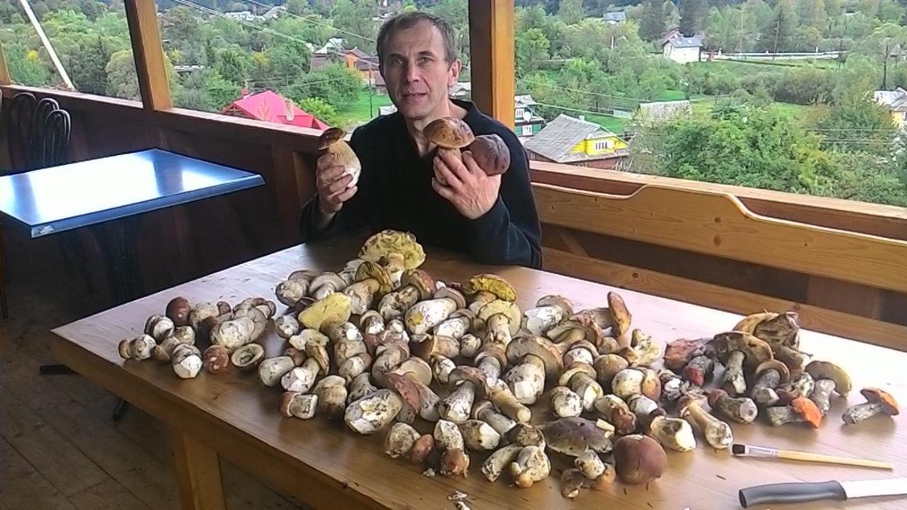 Котедж ,,ТІК Hotel Татарив Екстериор снимка
